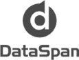 DataSpan logo